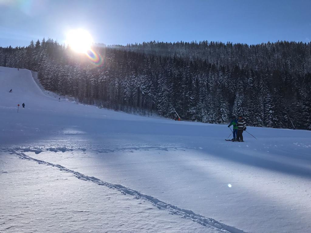 Appartements Almnest Schladming Buitenkant foto