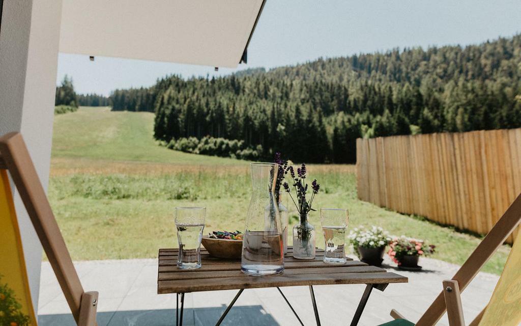 Appartements Almnest Schladming Buitenkant foto